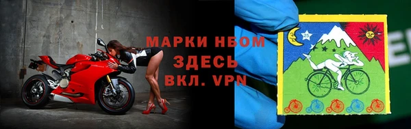 хмурый Абаза