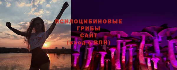 хмурый Абаза