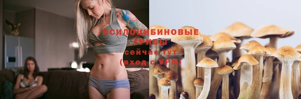 дурь Краснослободск