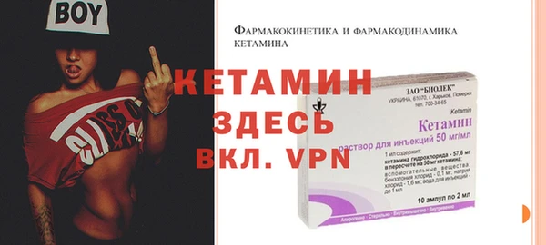 индика Сатка