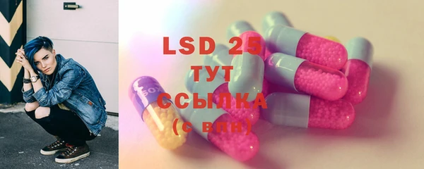 хмурый Абаза