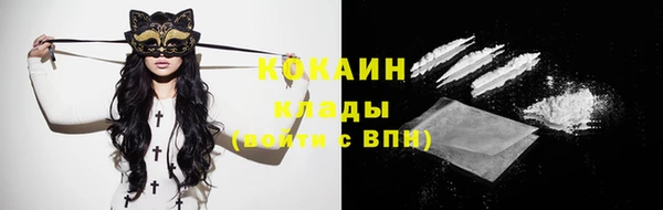 хмурый Абаза