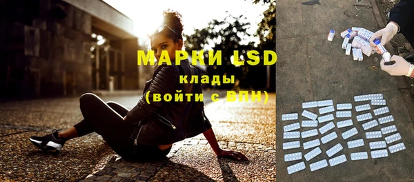 индика Сатка