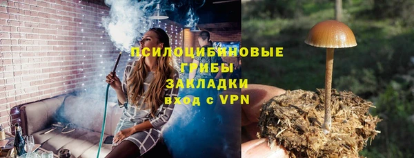 хмурый Абаза