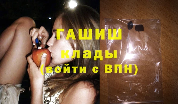 хмурый Абаза