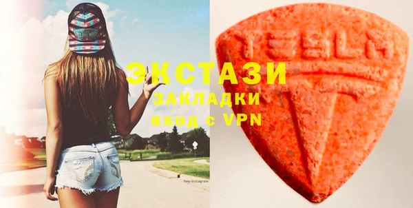 индика Сатка
