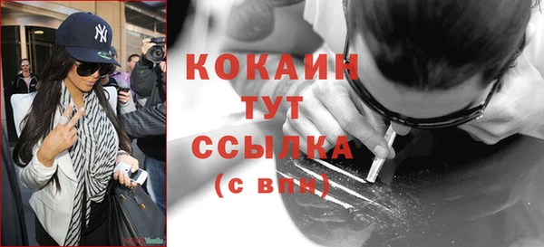 индика Сатка