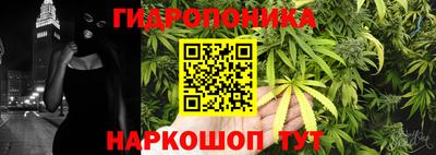 гидра Шелехов