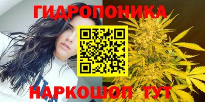 круглые Шебекино