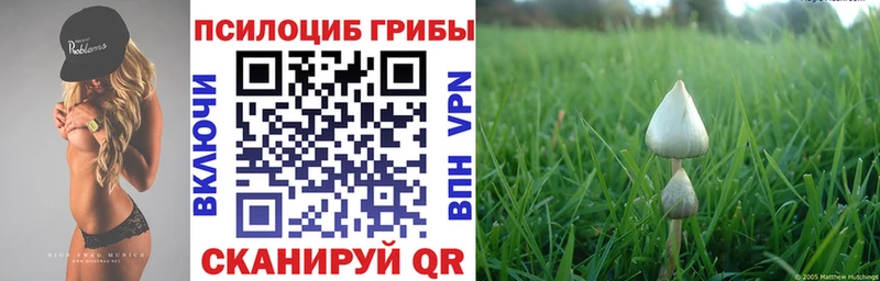 Галлюциногенные грибы Psilocybe  мега онион  Искитим 