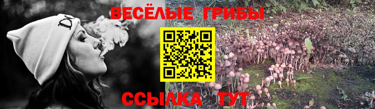 Псилоцибиновые грибы Magic Shrooms  Вход с VPN  Псилоцибиновые грибы Psilocybe  Искитим 